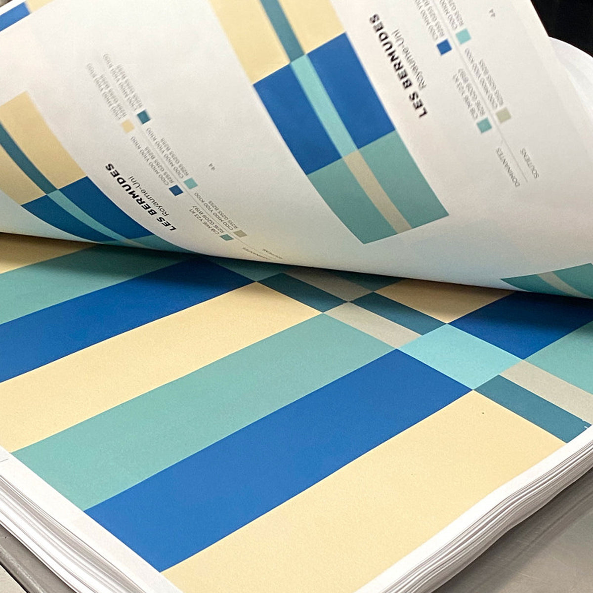 Farbbuch "Color Inspiration" Vol. 1 | Papier Tigre