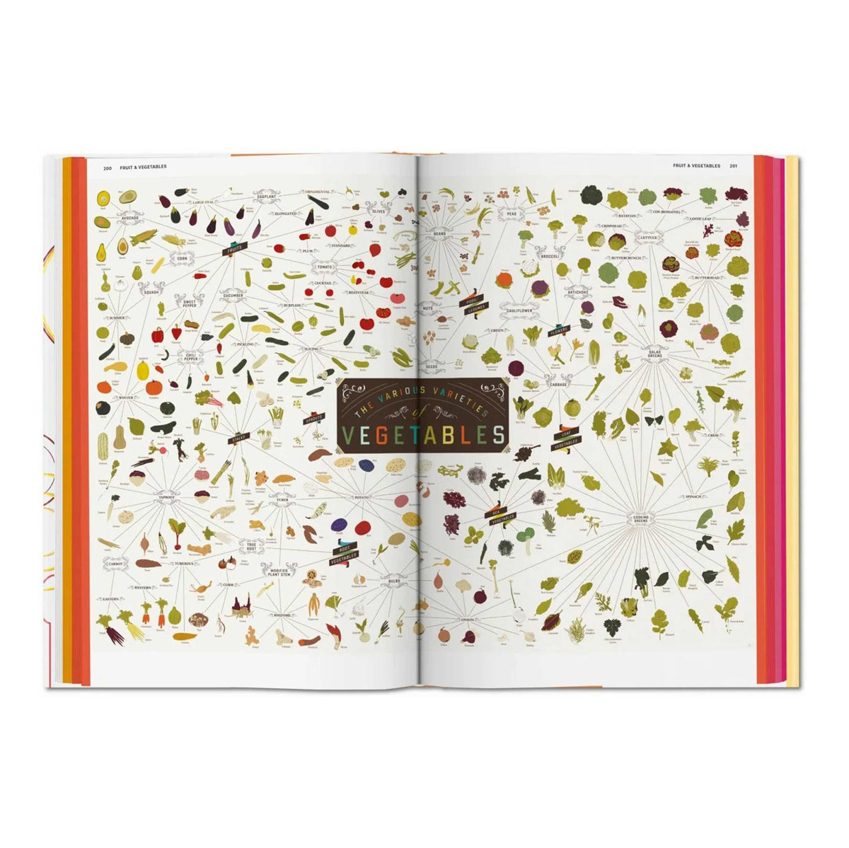 FOOD & DRINK INFOGRAPHICS - Eine visuelle Anleitung zu kulinarischen Genüssen - Buch | Taschen Verlag