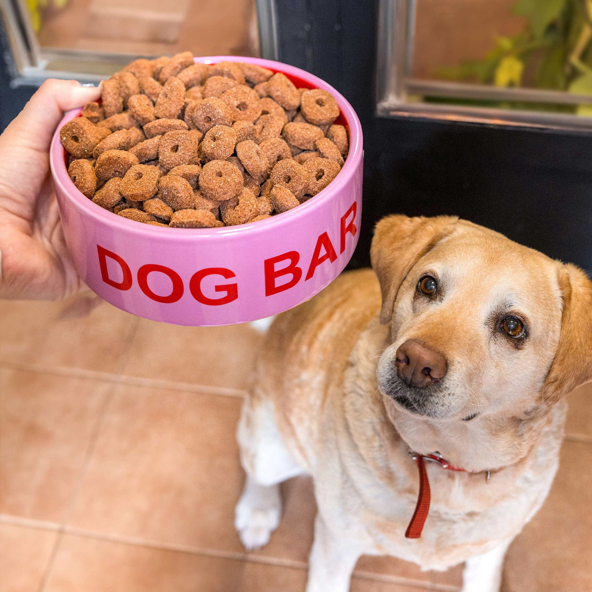 Hundenapf "Dog Bar" – Rosa · Keramik · 750 ml | Fisura