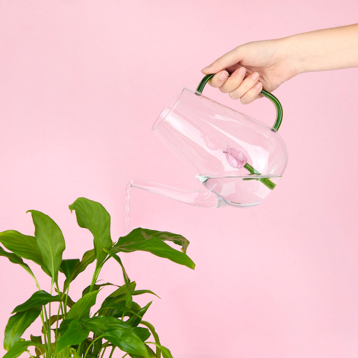 Gießkanne "Botanical Tulip" – Borosilikatglas · 1 L | Balvi