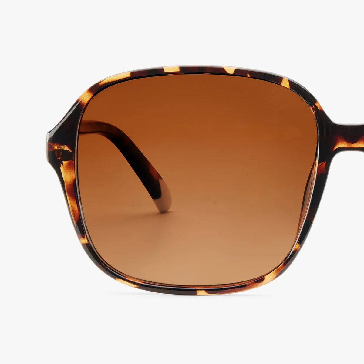 Sonnenbrille Pascal – Havanna · polarisiert | Barner