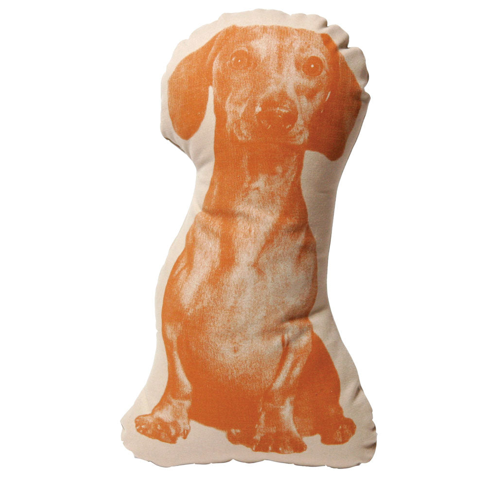 TECKEL Mini - COUSSIN Animal Faune | Ross Menuez | Connaissance de la zone