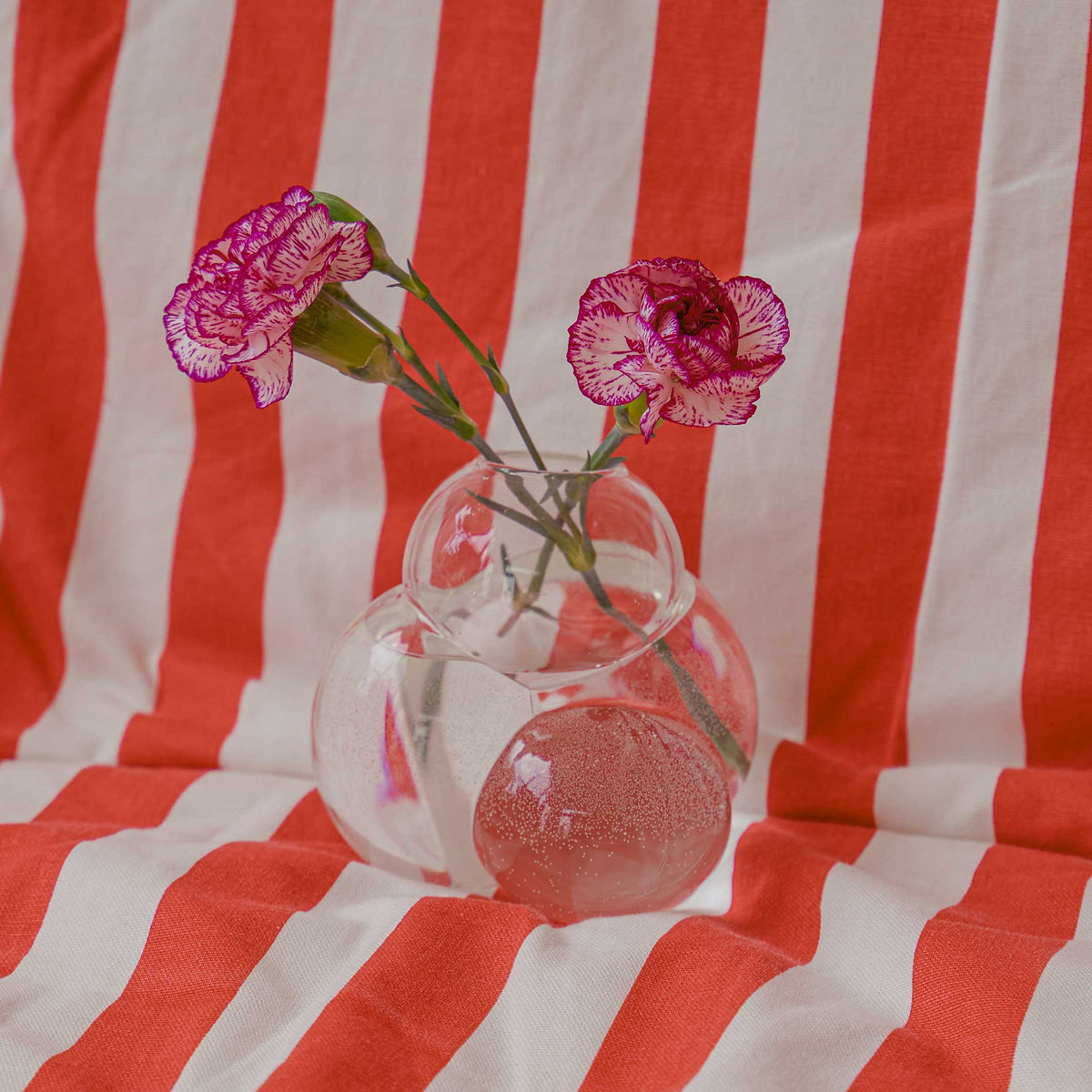 BUB BUD VASE | Klare GLASVASE | Talbot & Yoon | Areaware