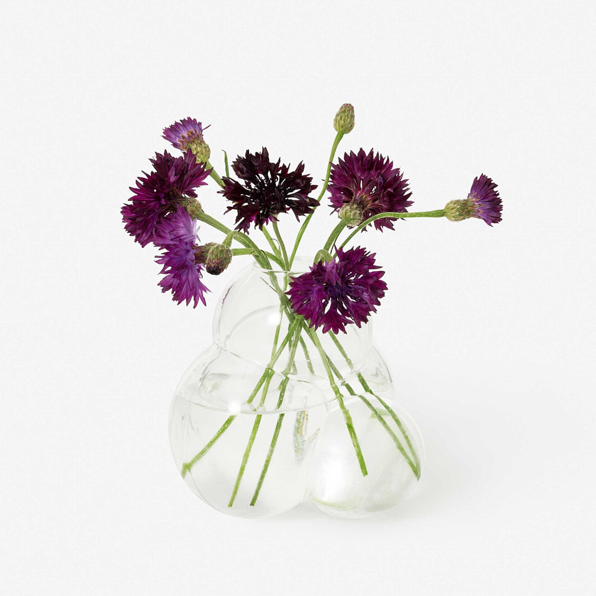 VASE BUB BUD | VASE EN VERRE Clair | Talbot et Yoon | Sont conscients