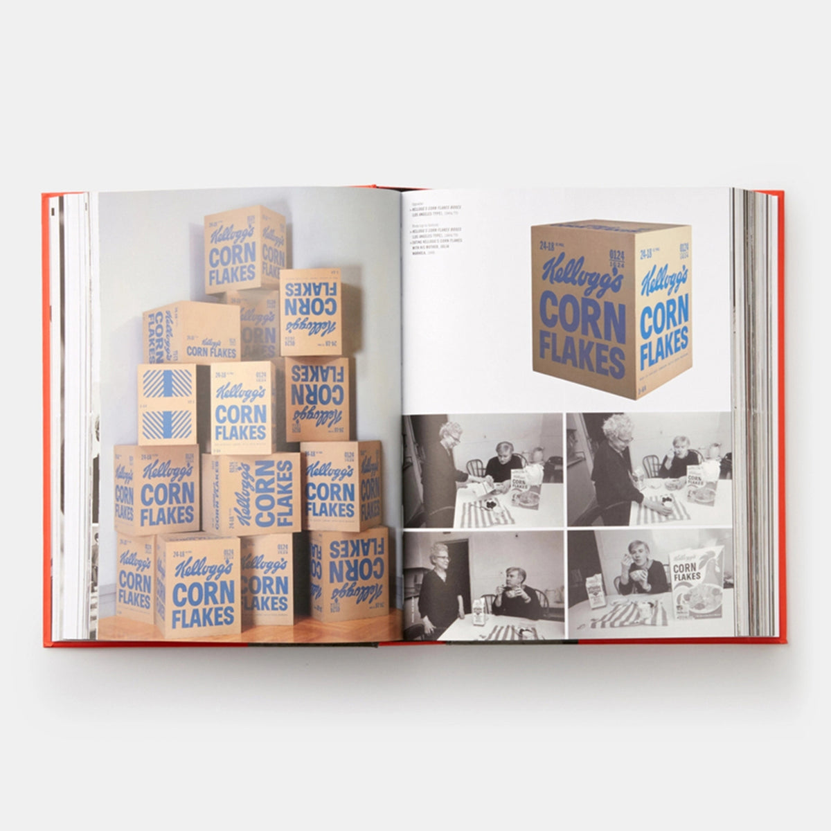 ANDY WARHOL: "GIANT" SIZE - Buch | Dave Hickey | PHAIDON Verlag