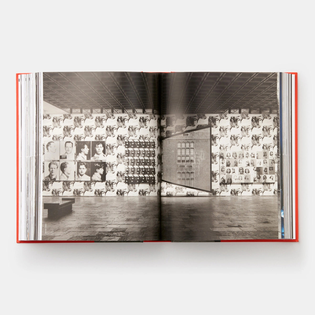 ANDY WARHOL: "GIANT" SIZE - Buch | Dave Hickey | PHAIDON Verlag