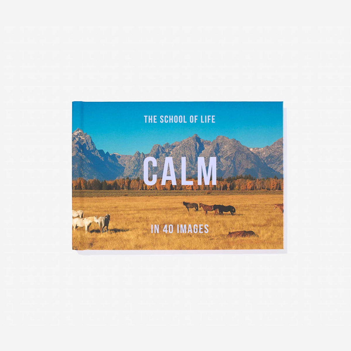 Buch "Calm in 40 Images" – Hardcover · Englisch | The School of Life