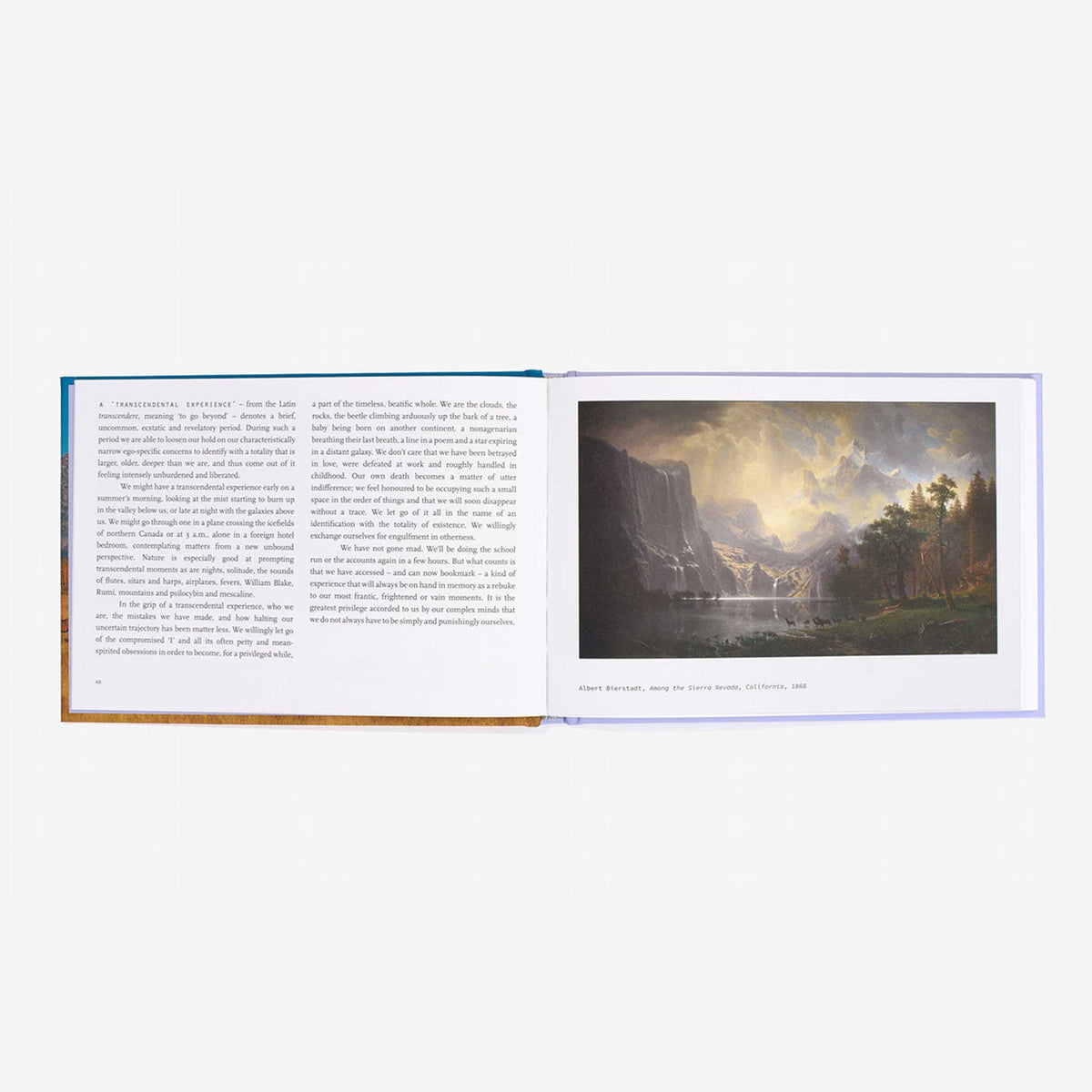 Book "Calm in 40 Images" – Hardcover | The School of Life