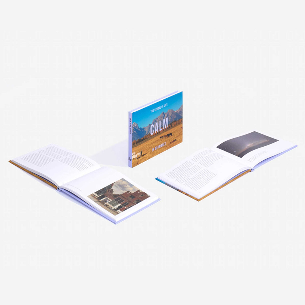Buch "Calm in 40 Images" – Hardcover · Englisch | The School of Life
