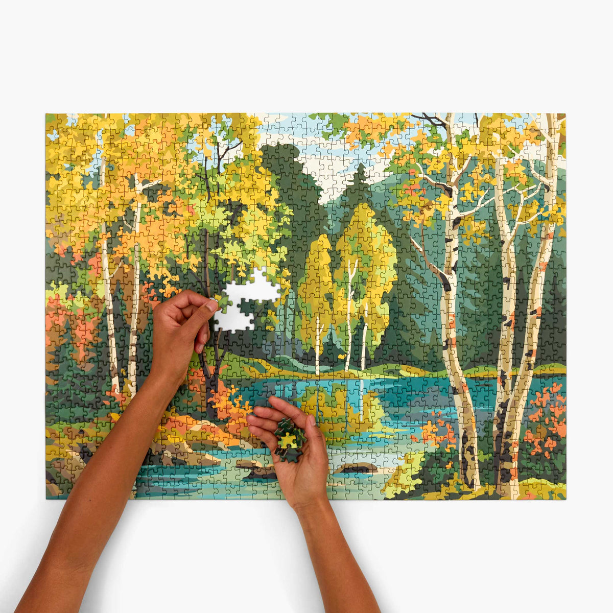 FOREST - Vintage Paint by Numbers - Puzzle 1.000 Teile | parkside