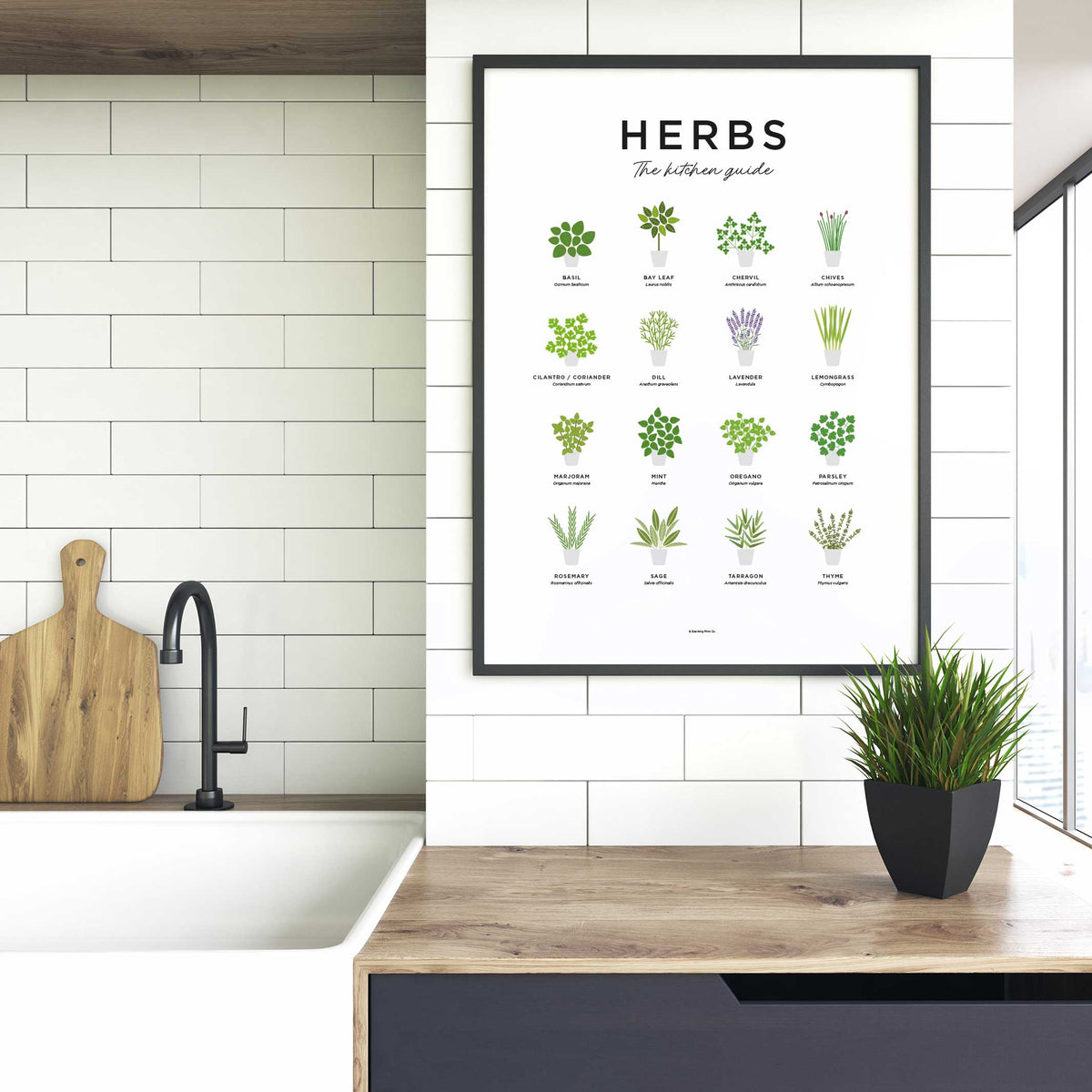 HERBS GUIDE - Poster 40x50 cm | Everlong Print