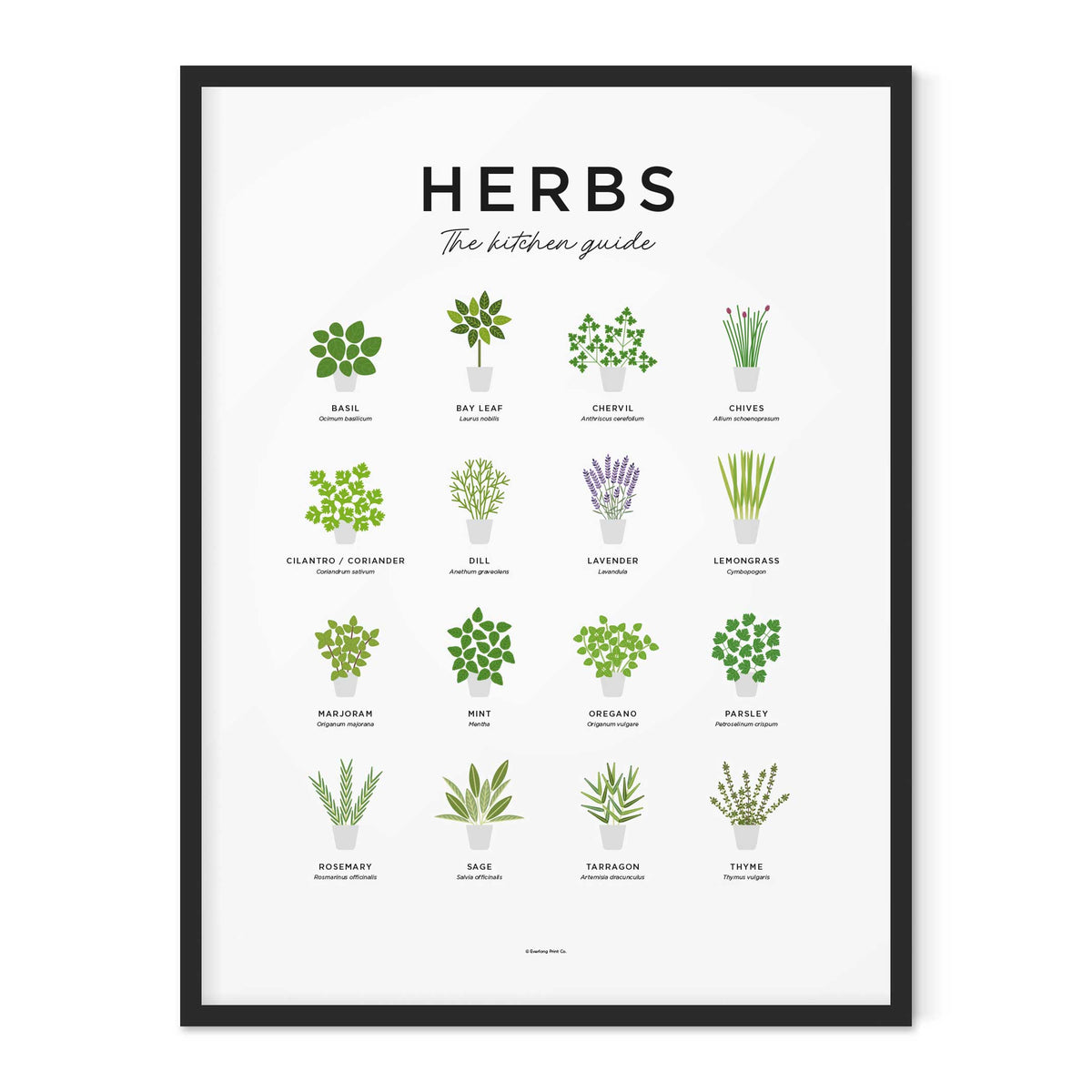HERBS GUIDE - Poster 40x50 cm | Everlong Print