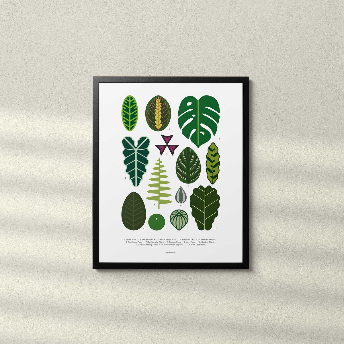 HOUSE PLANT LEAVES - Poster 40x50 cm | Everlong Print