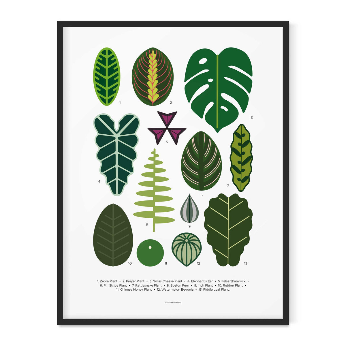 HOUSE PLANT LEAVES - Poster 40x50 cm | Everlong Print