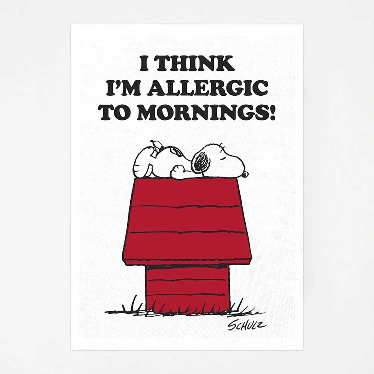 PEANUTS - ALLERGIC to MORNINGS | GESCHIRRTUCH | 70x50 cm | Magpie