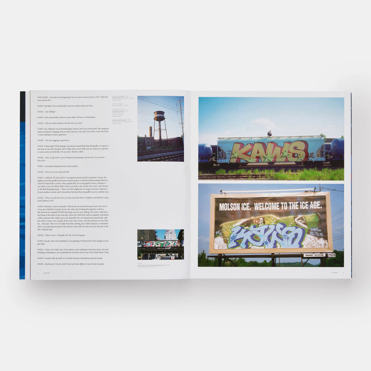KAWS | BUCH | PHAIDON Verlag