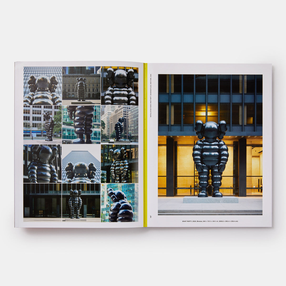 KAWS: WHAT PARTY (Black on Pink edition) | BOOK | PHAIDON Publisher