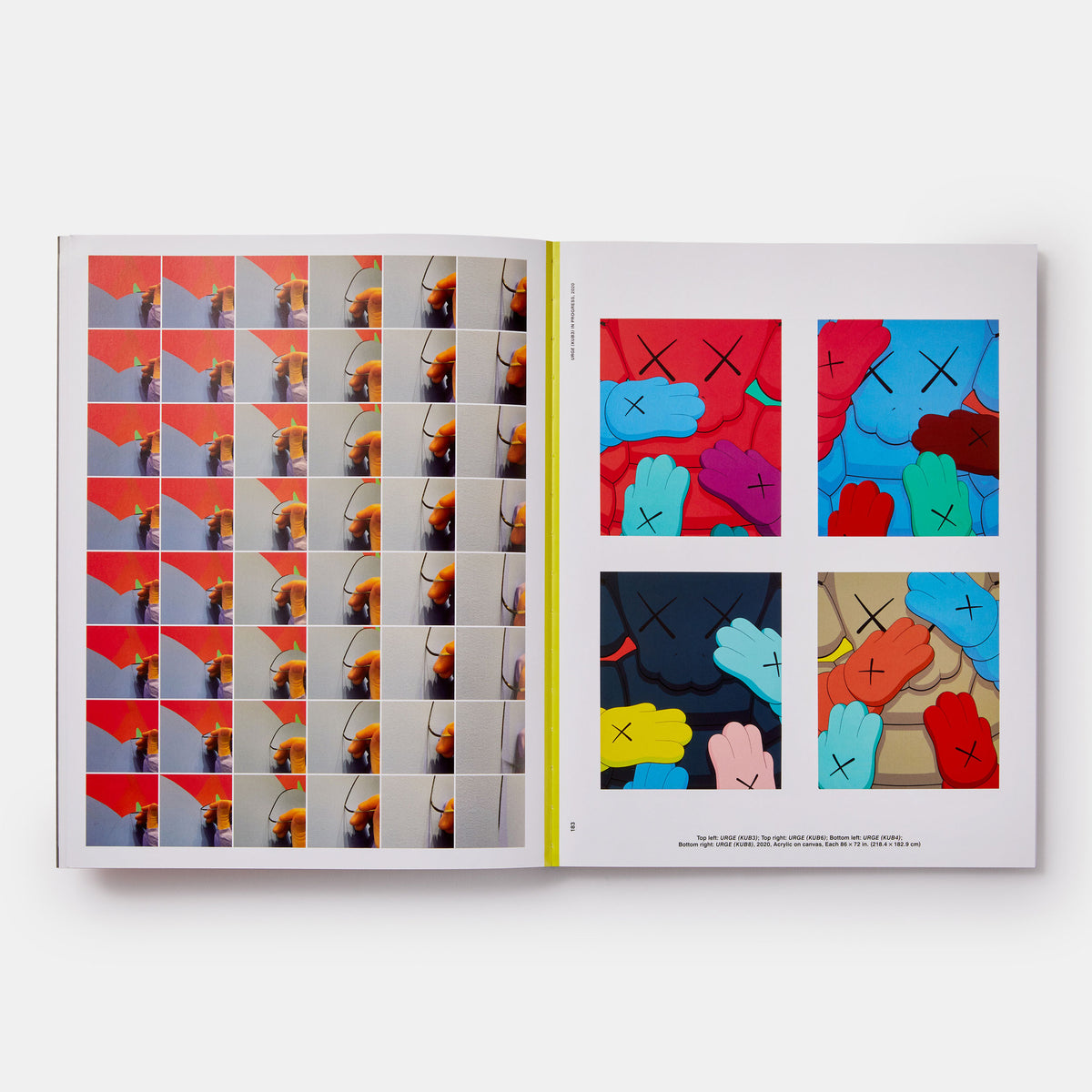 KAWS: WHAT PARTY (Black on Pink edition) | BOOK | PHAIDON Publisher