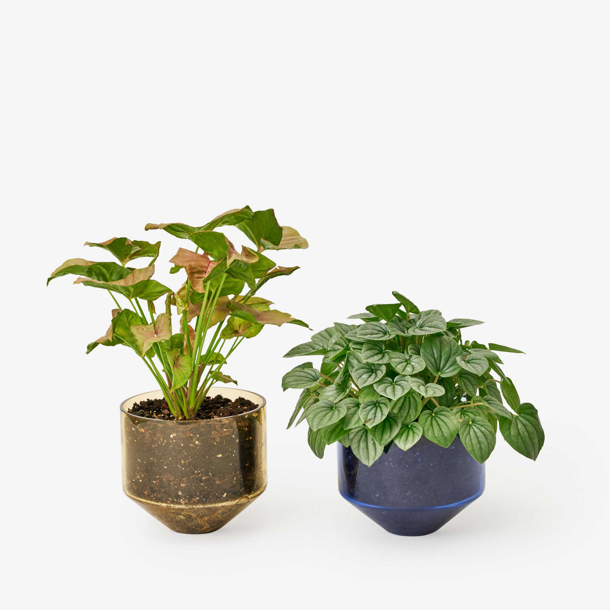 MODEL THREE PLANTER | BLUMENTOPF & PFLANZGEFÄSS | D=15 cm | Sam Bigio | Areaware