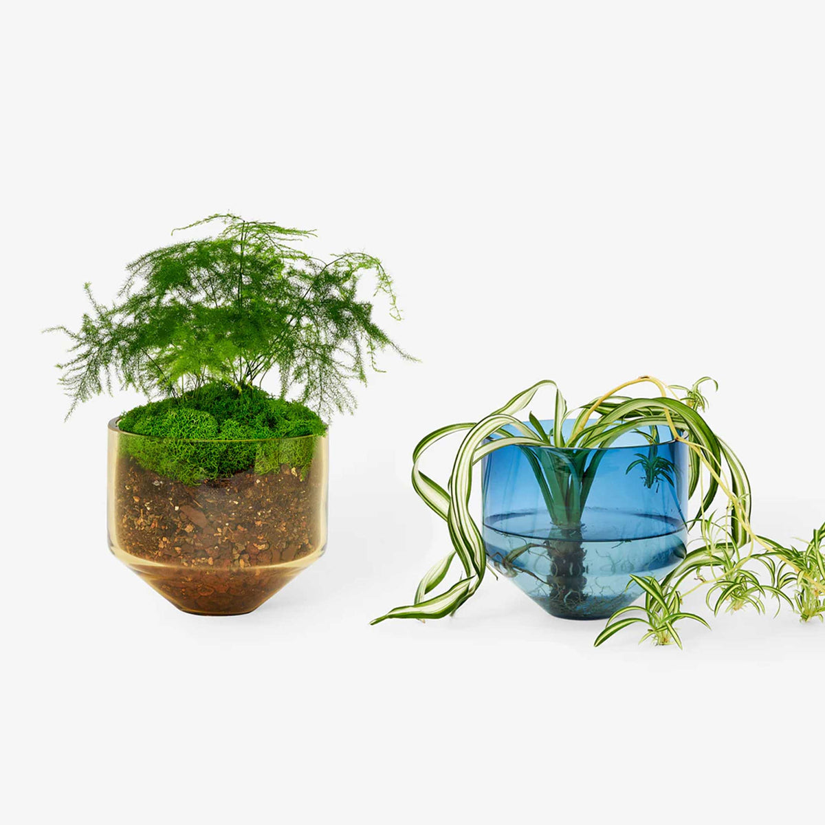 MODEL THREE PLANTER | BLUMENTOPF & PFLANZGEFÄSS | D=15 cm | Sam Bigio | Areaware