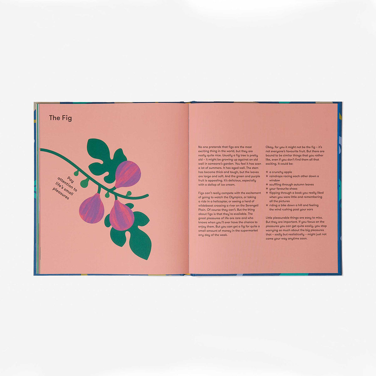 LA NATURE et MOI | LIVRE POUR ENFANTS sur la NATURE | Édition anglaise | L'école de la vie