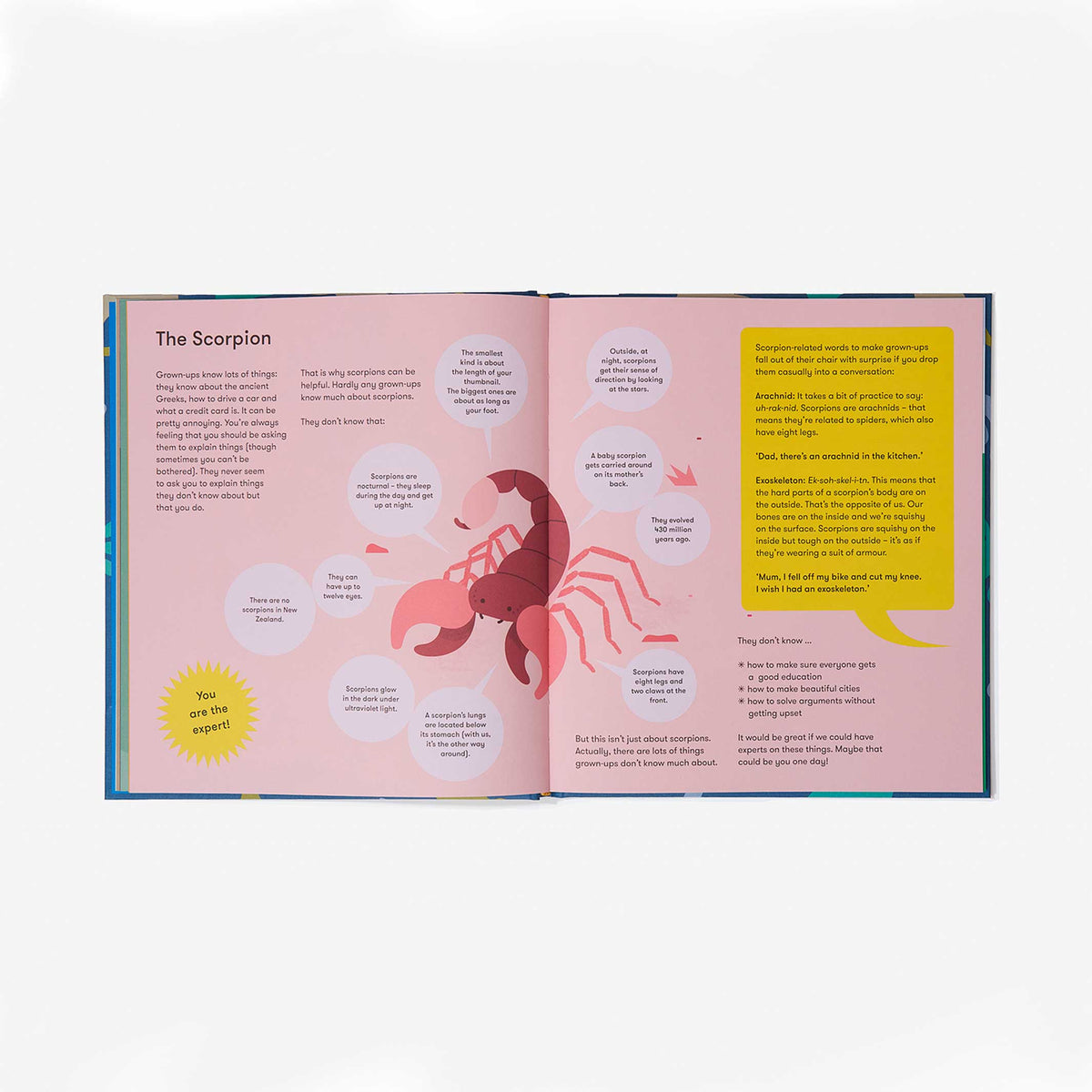 LA NATURE et MOI | LIVRE POUR ENFANTS sur la NATURE | Édition anglaise | L'école de la vie