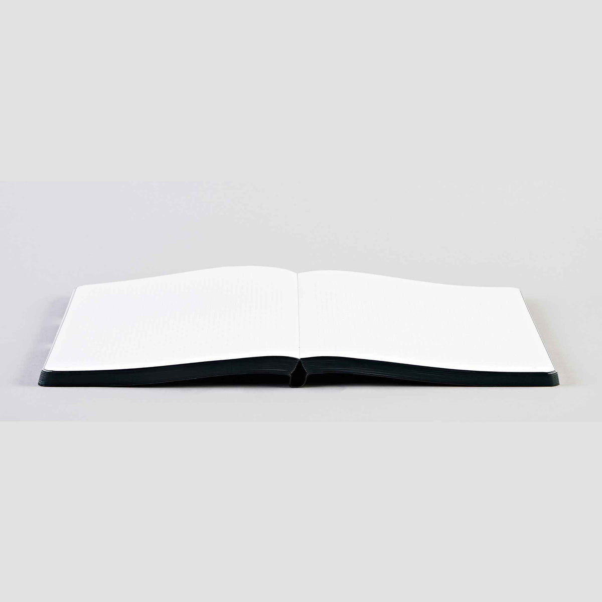 HOLY SHIT - NOTIZBUCH - GRAPHIC L Serie | Nuuna
