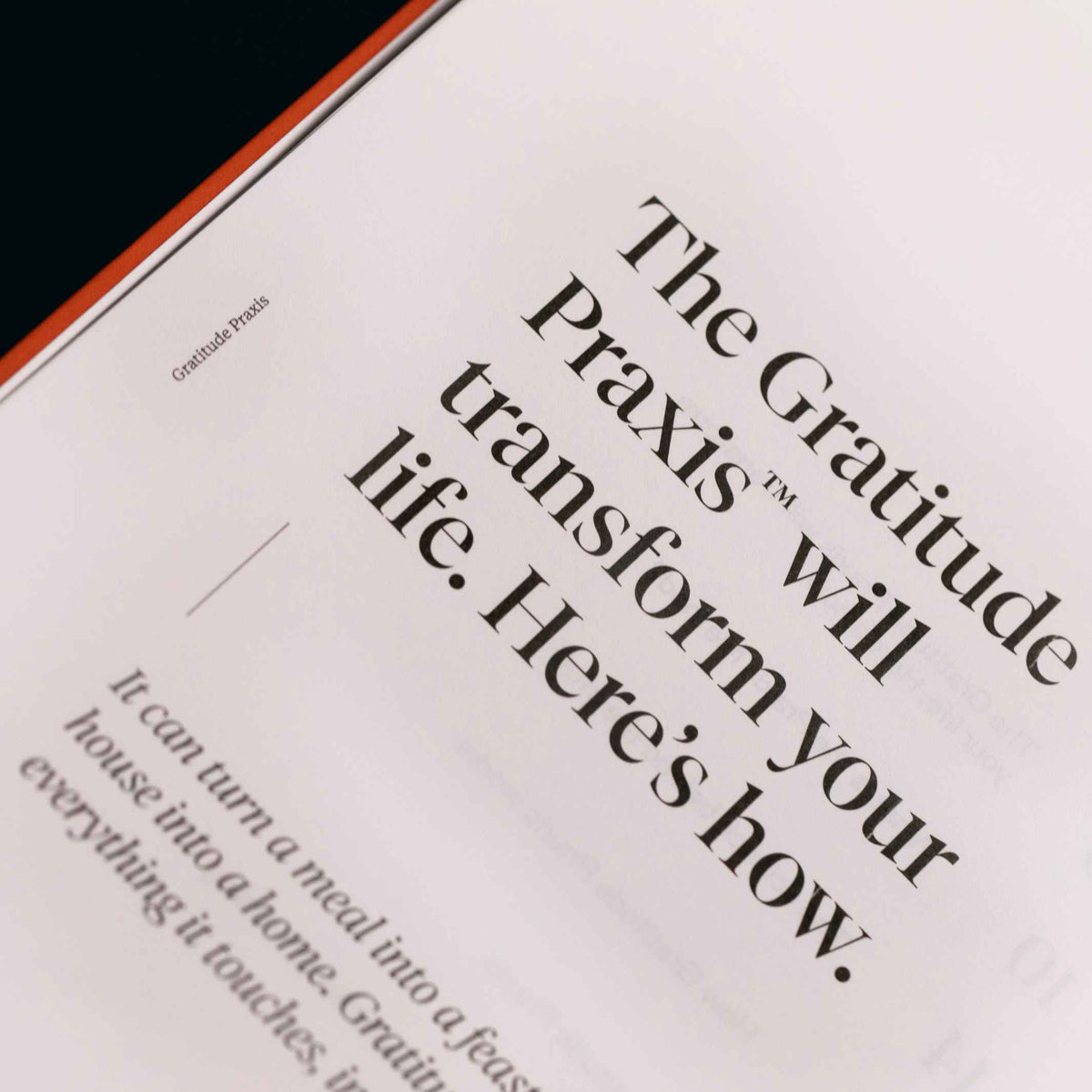 PRAXIS GRATITUDE™️ - englisches TAGEBUCH - Dankbarkeit | KarstGoods