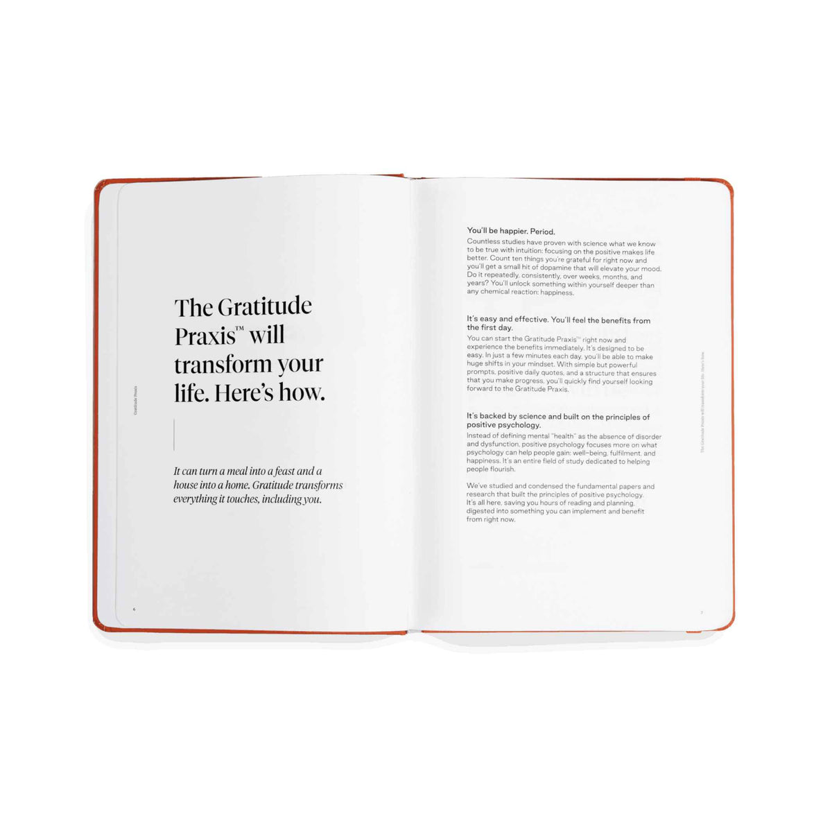 PRAXIS GRATITUDE™️ - englisches TAGEBUCH - Dankbarkeit | KarstGoods