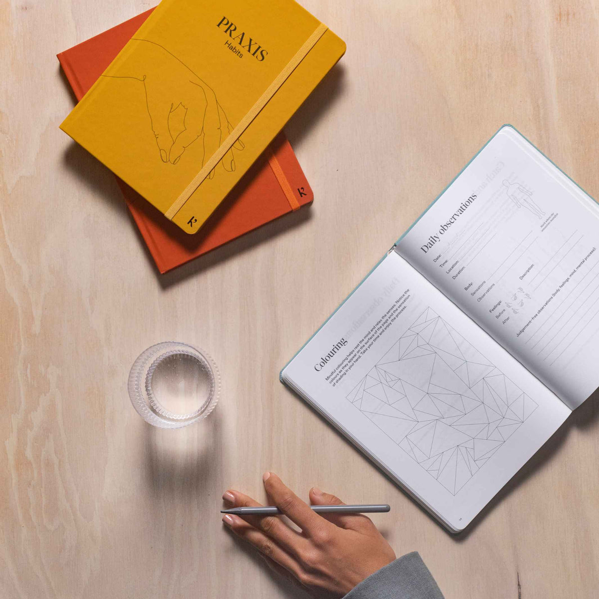 PRAXIS HABITS™️ - englisches TAGEBUCH - Gewohnheiten | KarstGoods