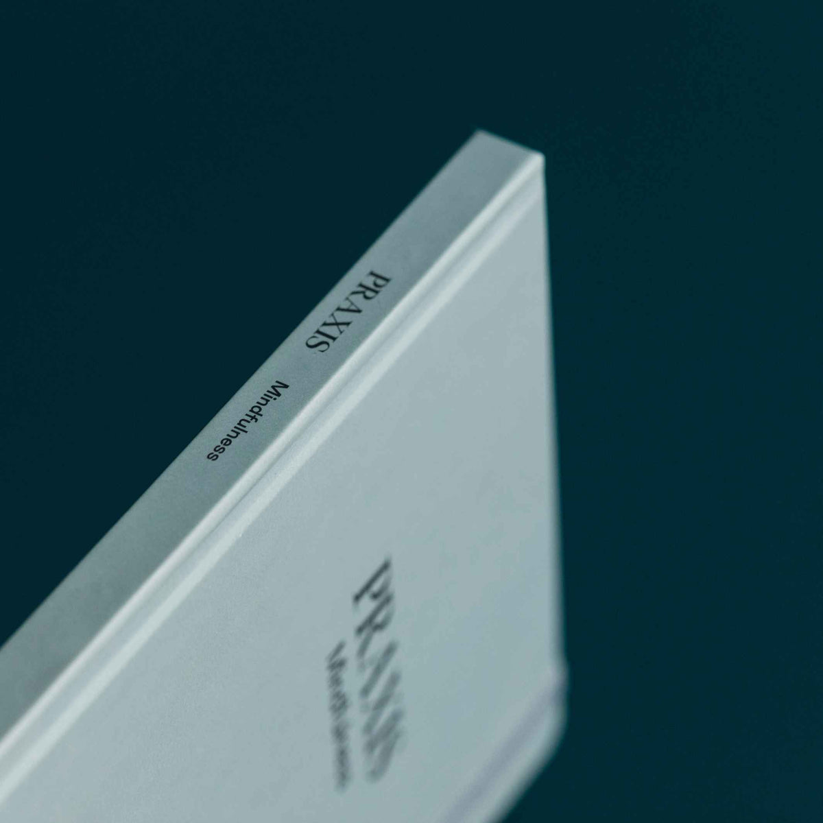 PRAXIS MINDFULNESS™️ - englisches TAGEBUCH - Achtsamkeit | KarstGoods