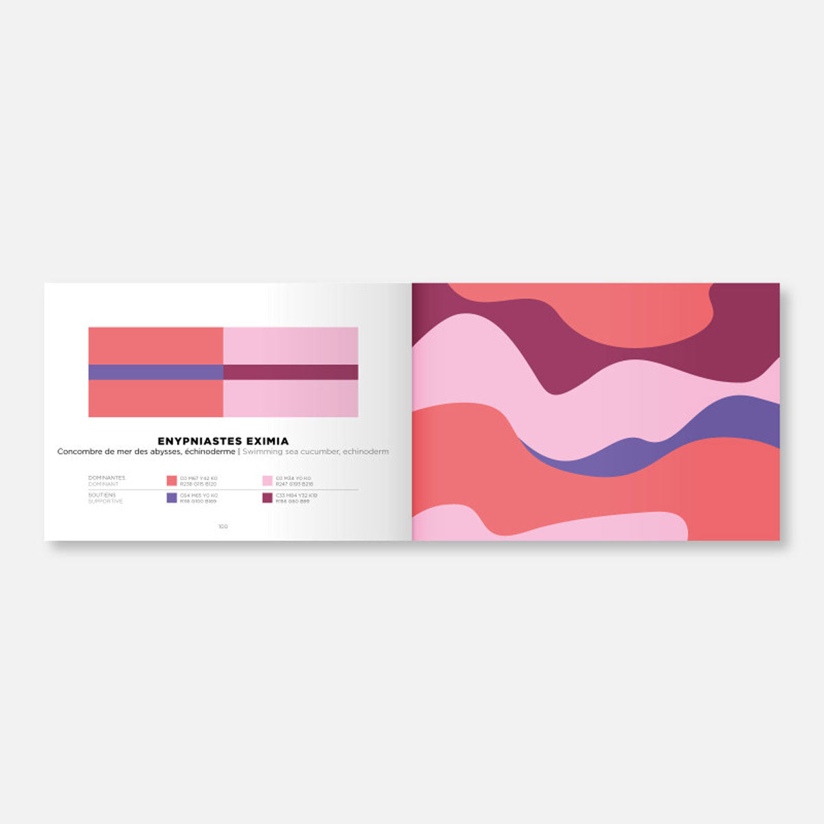 Farbbuch "Color Inspiration" Vol. 2 | Papier Tigre