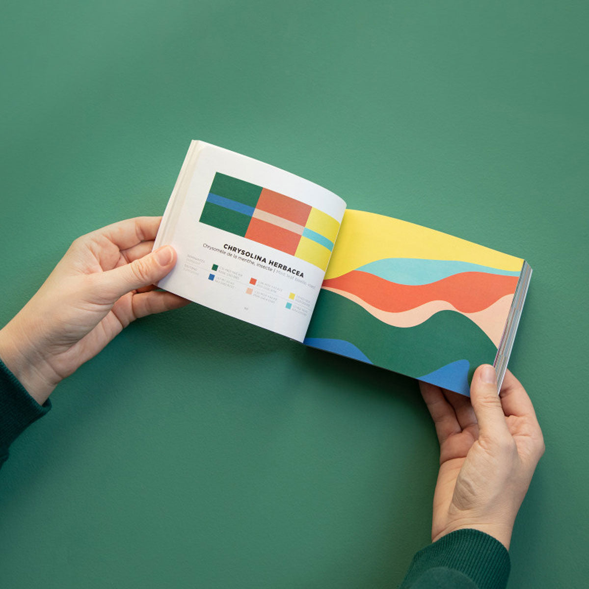 Farbbuch "Color Inspiration" Vol. 2 | Papier Tigre