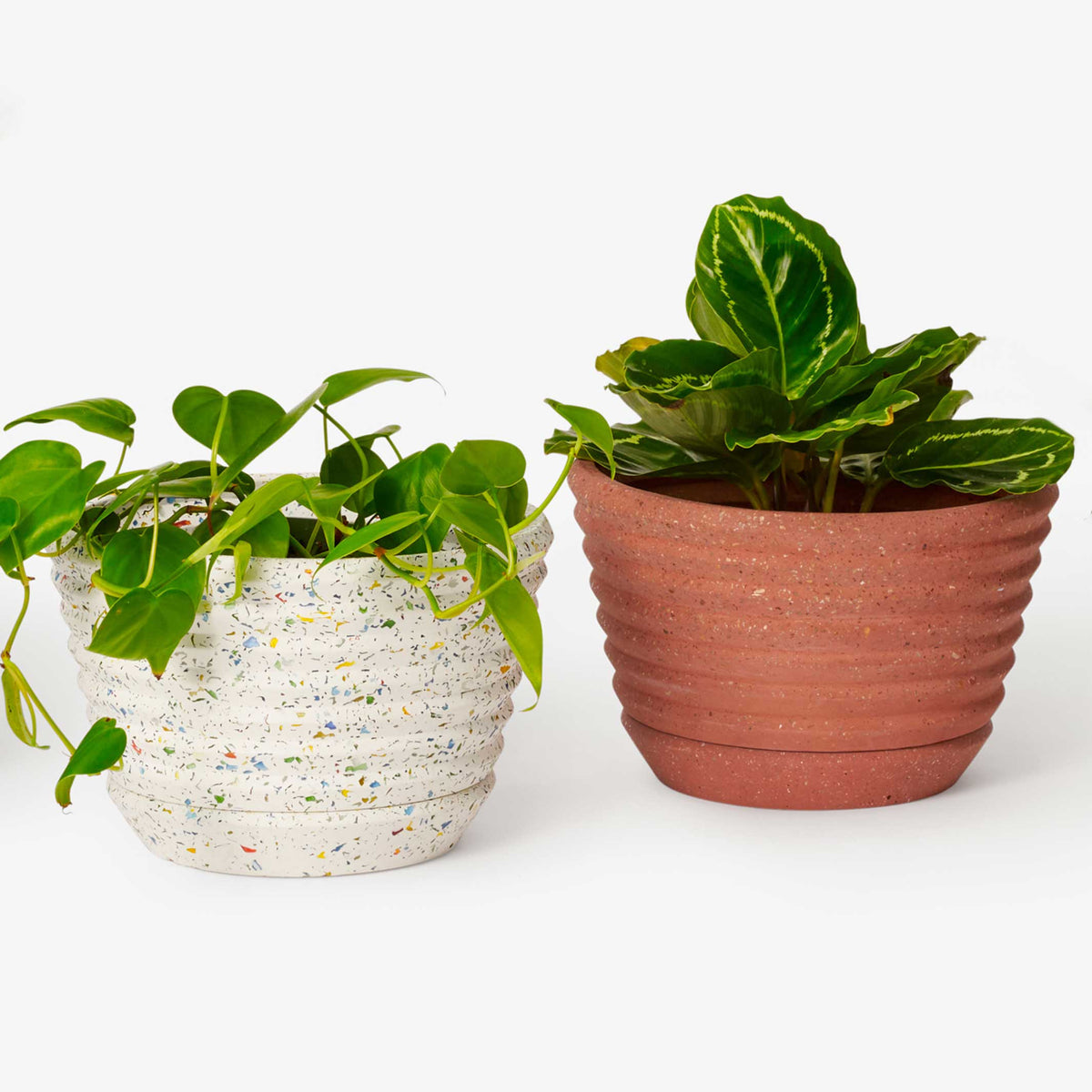 RACINE PLANTER CONFETTI - Blumentopf | Frank Lloyd Wright | Areaware