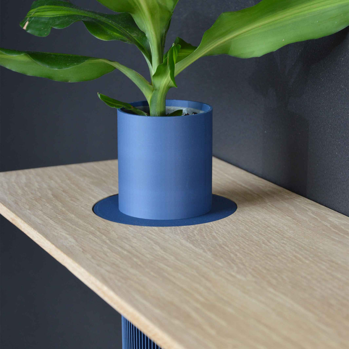 VASEBOARD M - Regal mit integrierter Vase | vaseboard