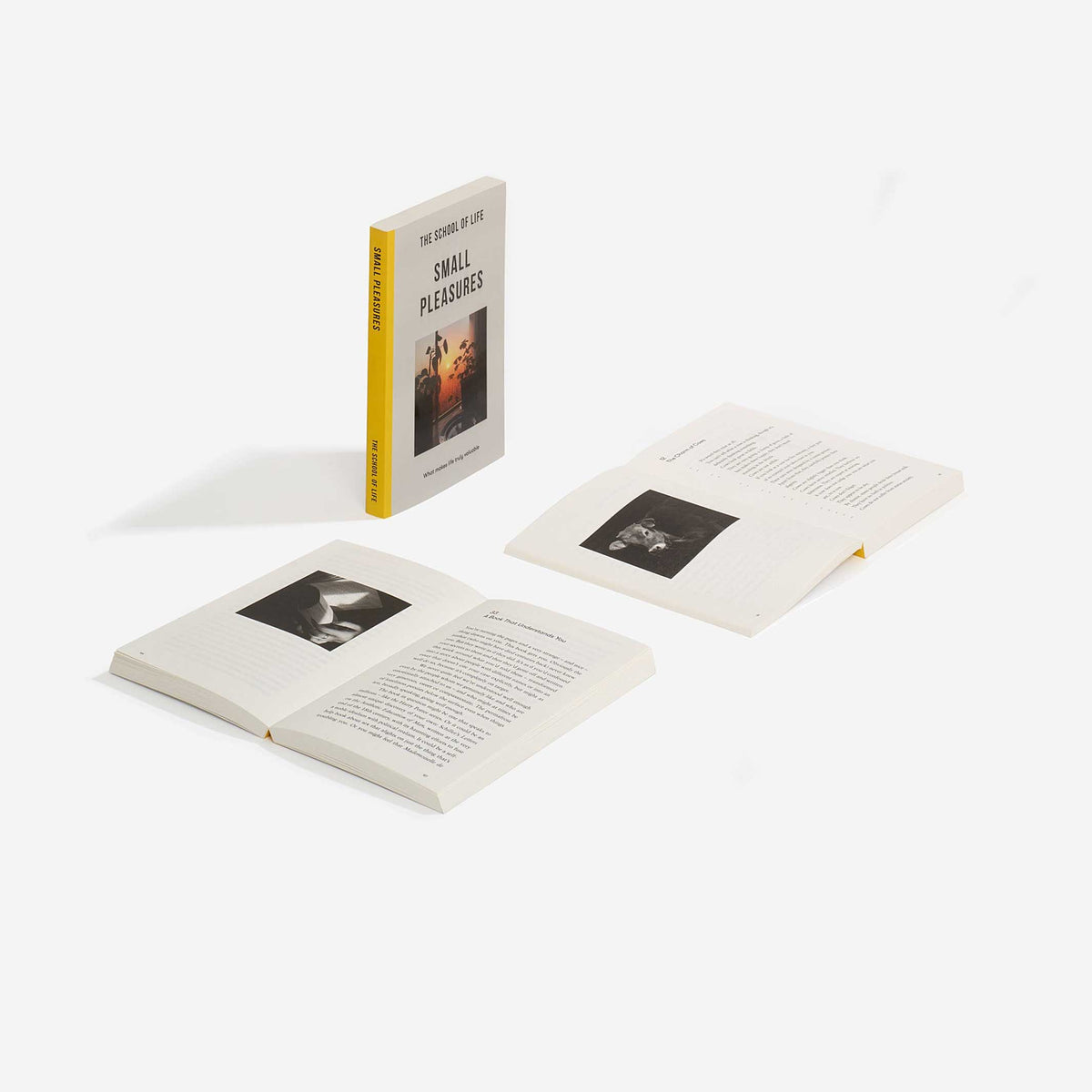 Paperback "Small Pleasures" | The School of Life