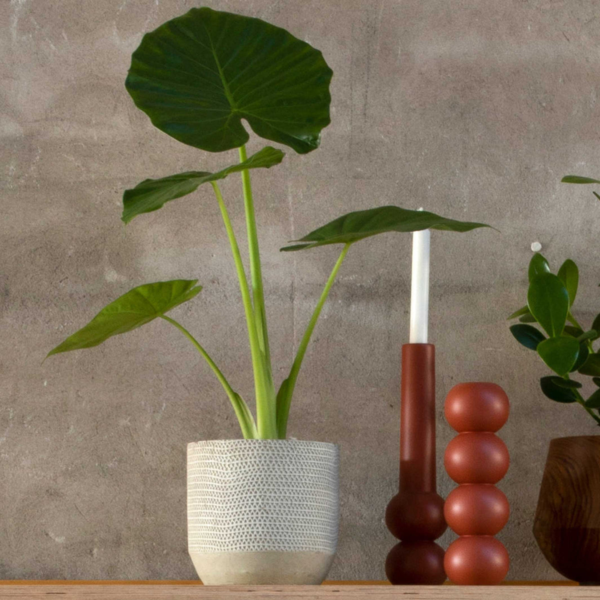 Kerzenhalter Stack – Buche · 32 cm | Lemon Lily