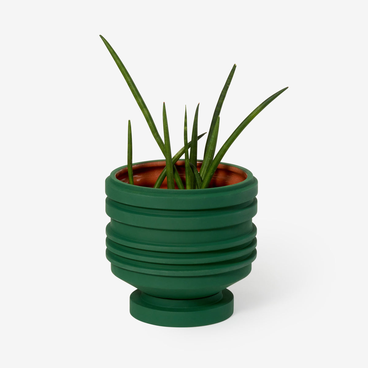 NAVIRE POUR PLANTES STRATA | vert POT DE FLEUR ET JARDINIÈRE | Simone Brewster | Sont conscients