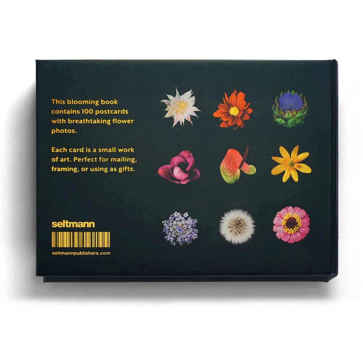 THE BLOOMING BOOK | Flamboyant Flowers | Flower postcards BOOK | Nicolas Mériel | seltmann+söhne