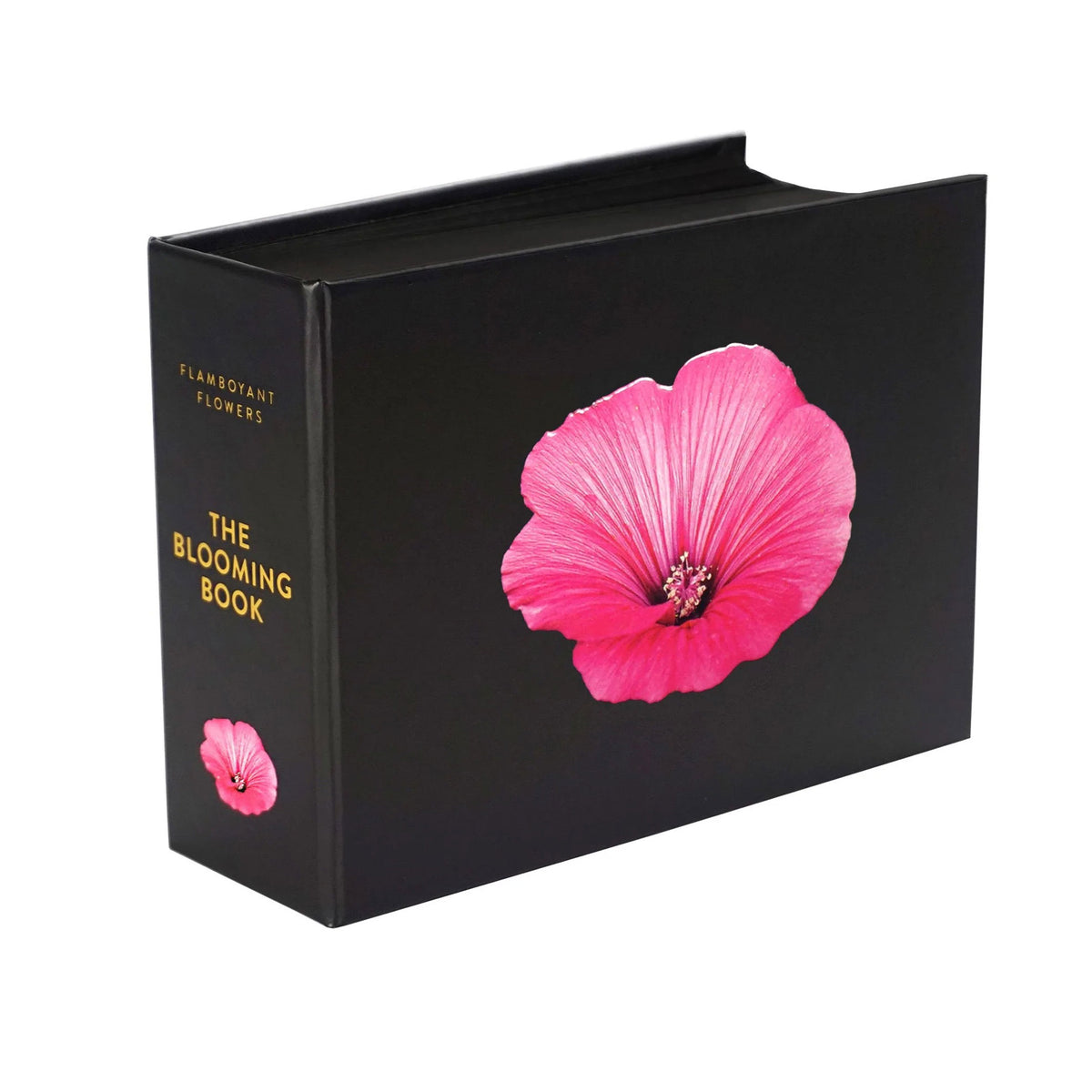 THE BLOOMING BOOK | Flamboyant Flowers | Blumen-Postkarten BUCH | Nicolas Mériel | seltmann+söhne