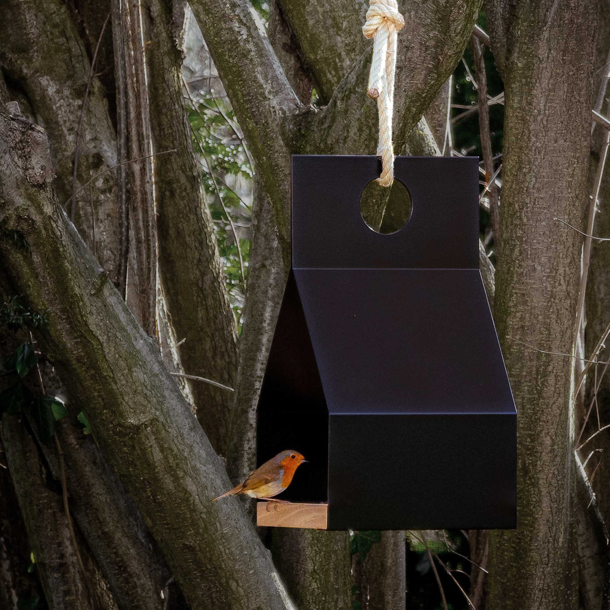 FLY! - hängendes Vogelhaus - Dekoelement | finbeaux