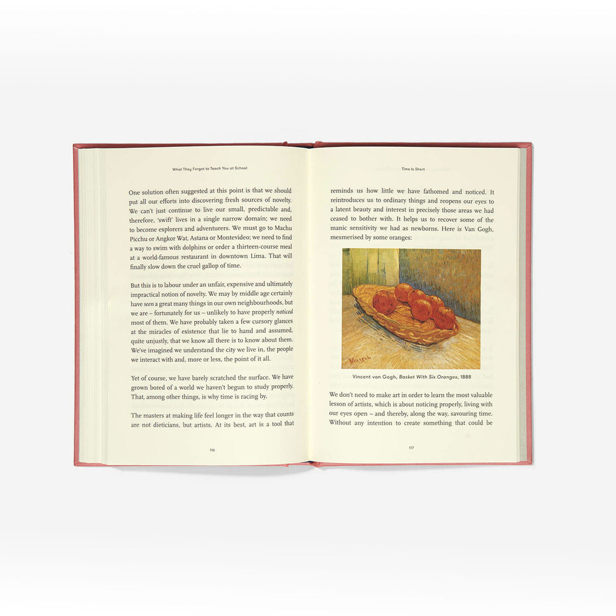 Buch "What They Forgot to Teach You at School" | The School of Life