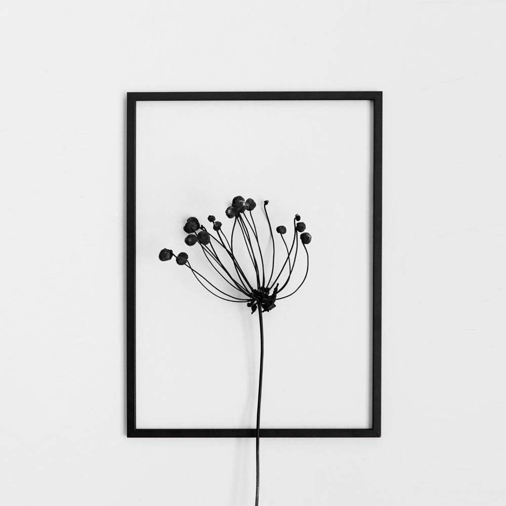 Aluminium frame - FRAME BLACK | Moebe
