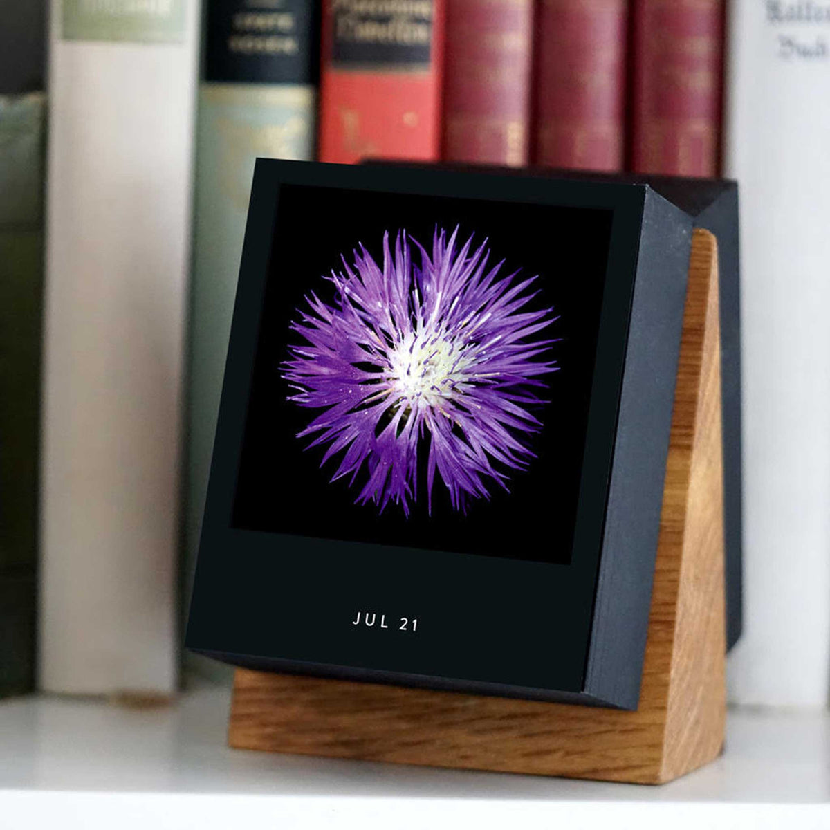 FLAMBOYANT FLOWERS | A flower a day | Blumen KALENDER | Nicolas Mériel | seltmann+söhne