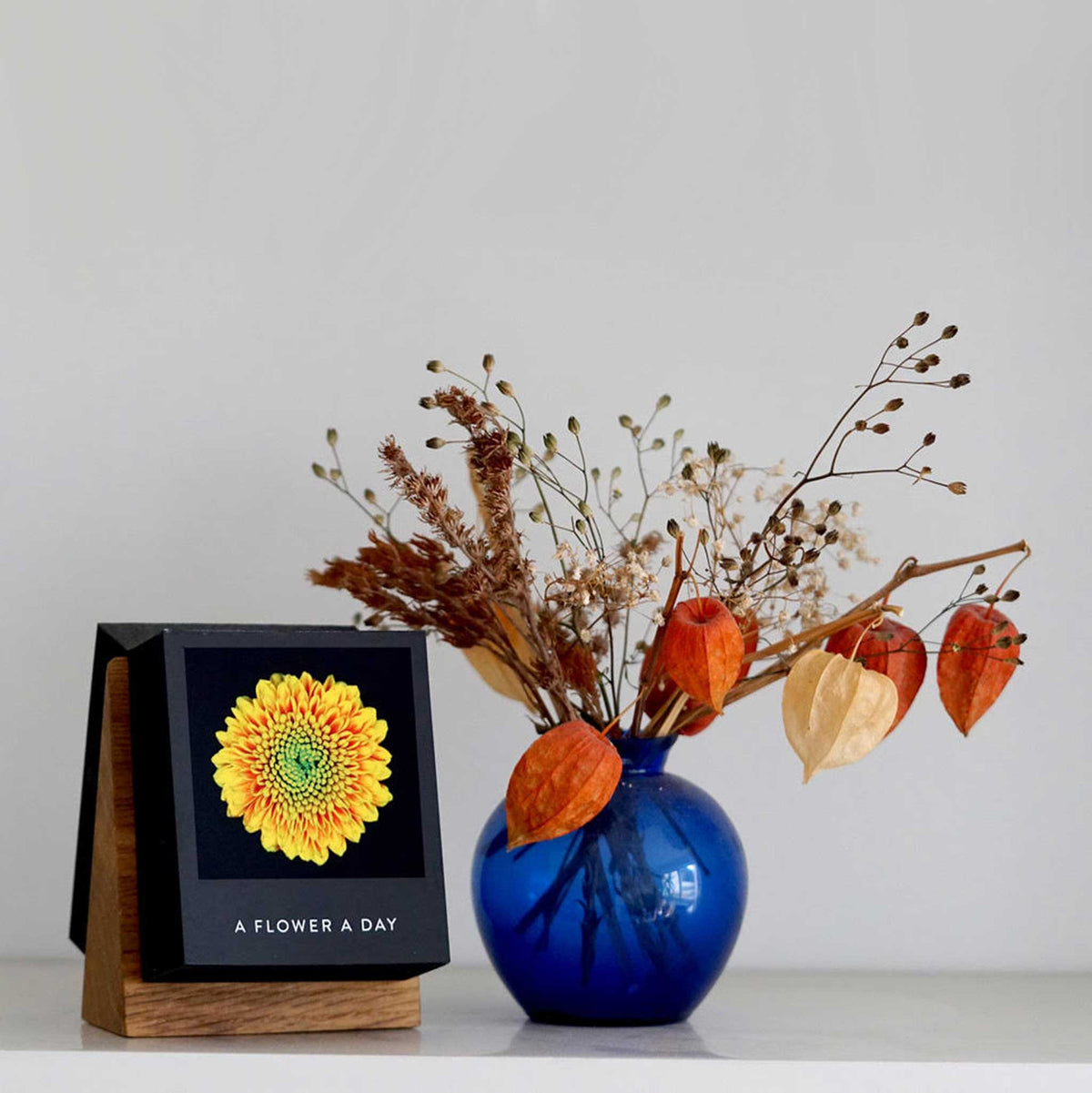 FLAMBOYANT FLOWERS | A flower a day | Blumen KALENDER | Nicolas Mériel | seltmann+söhne