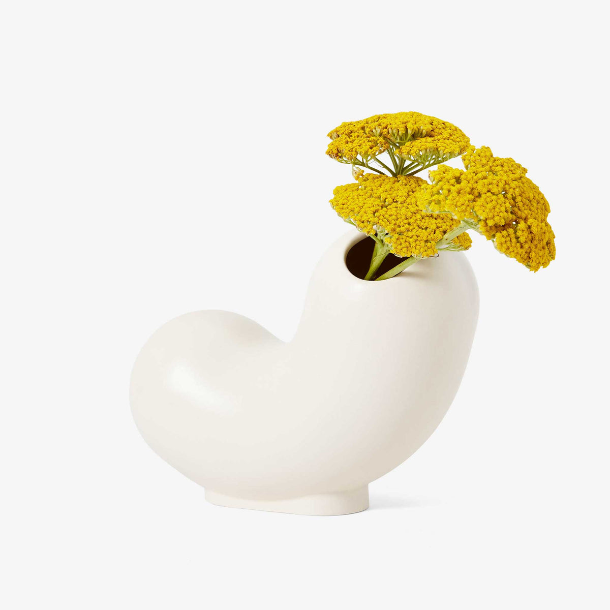 KIRBY | VASES | Talbot et Yoon | Sont conscients