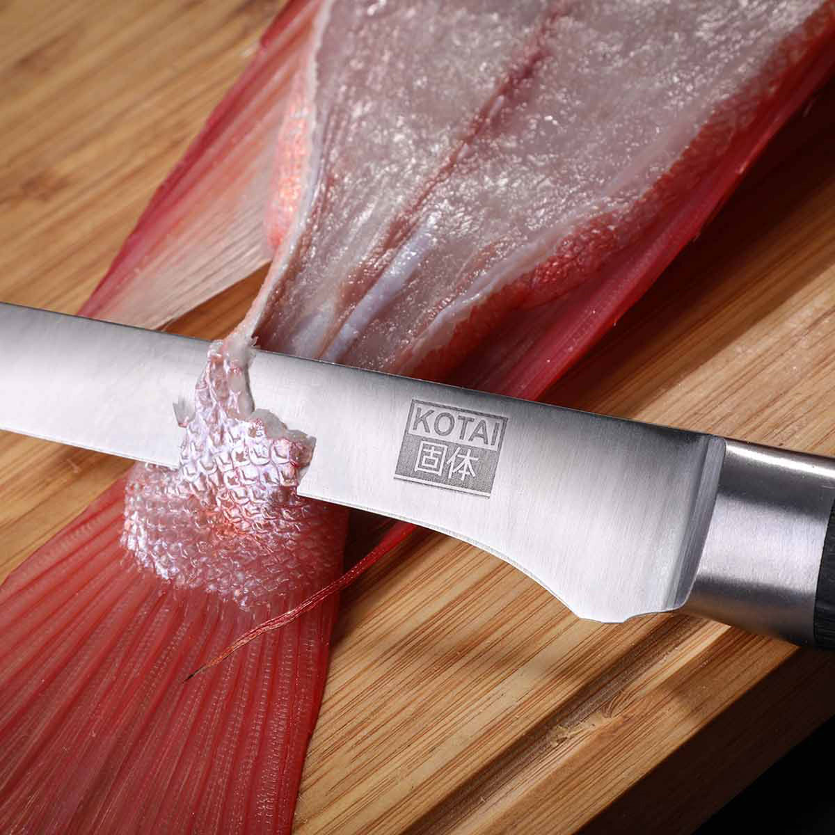FILETIERMESSER für Fisch | hölzerne Saya & Bambus-Geschenkbox | 20cm Klinge | Kotai