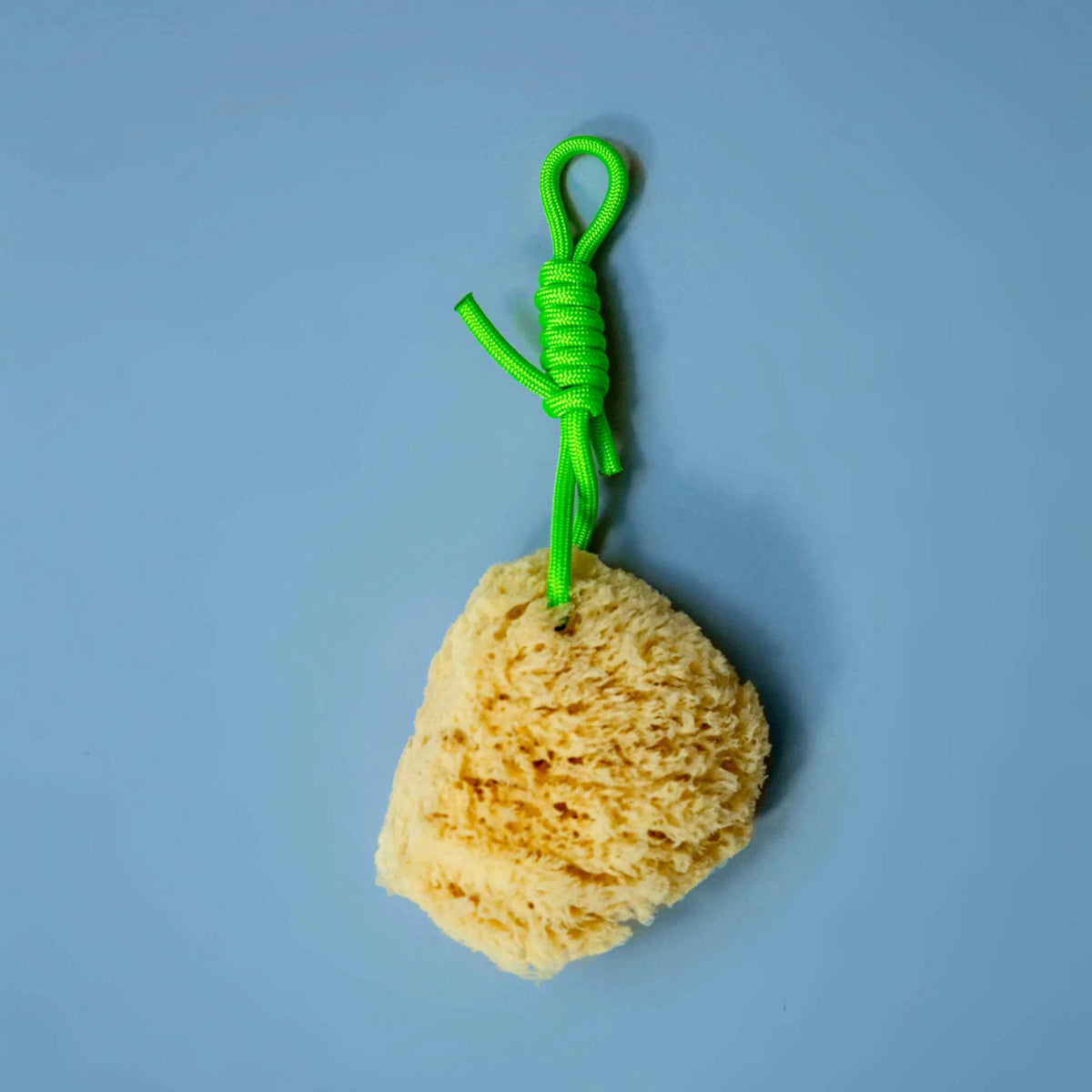 Mediterranean NATURAL SPONGE with colorful PET cord | Suite702