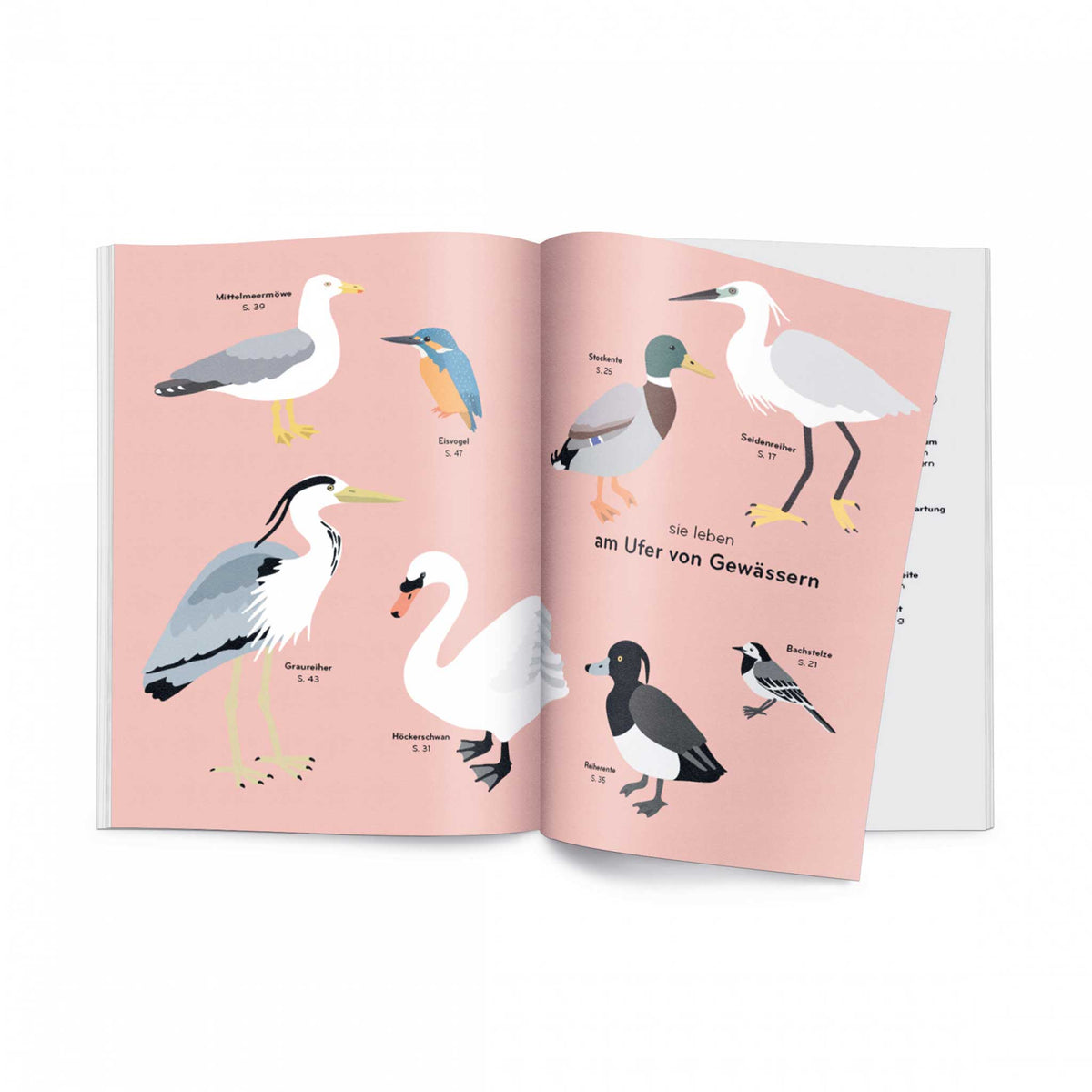 ORNITHORAMA | Die wunderbare Welt der VÖGEL| KINDER-WISSENBUCH | Lisa Voisard | Helvetiq - Charles & Marie