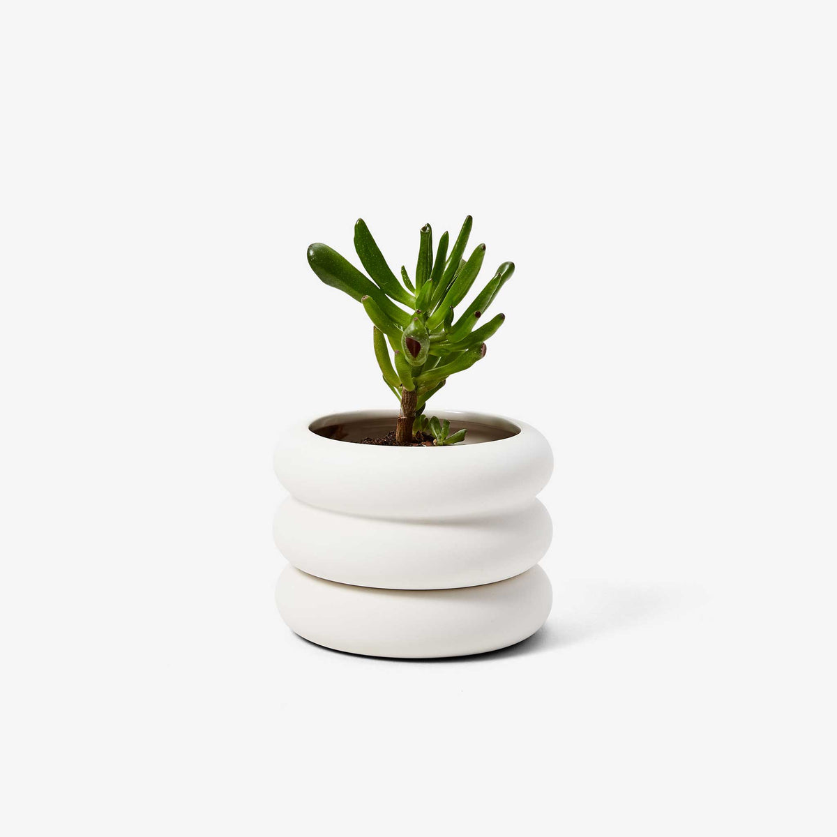 STACKING PLANTER | BLUMENGEFÄSSE | Chen Chen & Kai Williams | Areaware - Charles & Marie